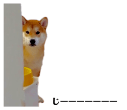 236068347