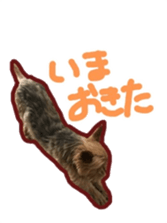 236084196