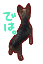 236084204