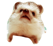 23616737