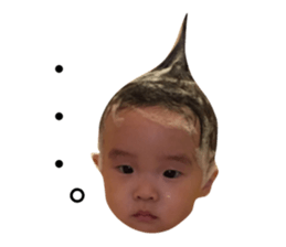 23619015