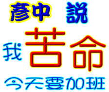 236331069