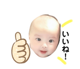236344691