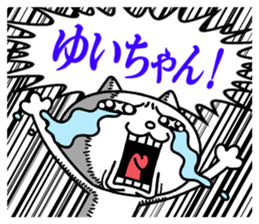 23636269