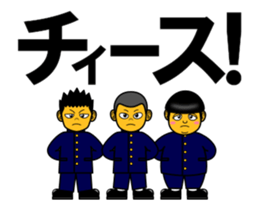 236387214