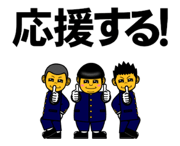 236387217