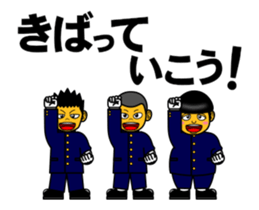 236387219