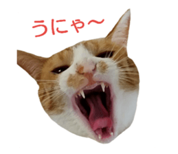 23638770