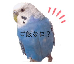 236470120