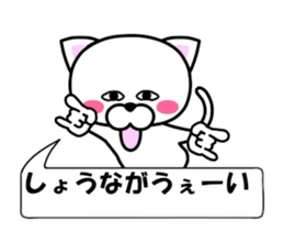 236488441