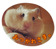 23649750