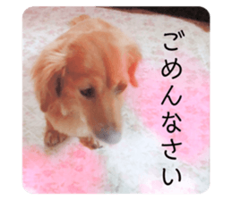 236513329