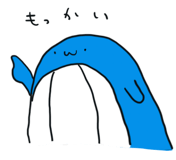 23651691