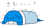 23651693