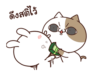 แมวเต้าหู้ดุ๊กดิ๊กๆ รูปที่ 1