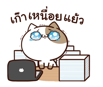 แมวเต้าหู้ดุ๊กดิ๊กๆ รูปที่ 6