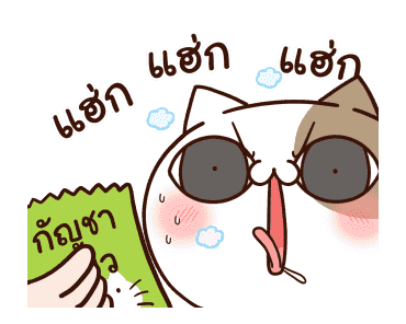 แมวเต้าหู้ดุ๊กดิ๊กๆ รูปที่ 8