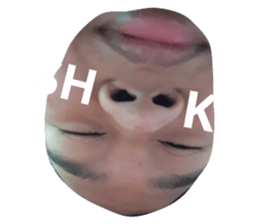 236615948