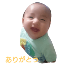 23666522