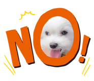 236686592