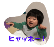236720521