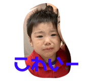 236720534