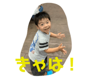 236720537