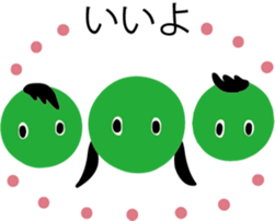 23689855