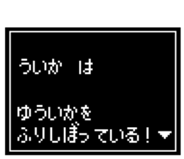 237023204