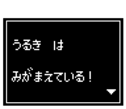 237023799