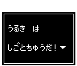 237023804