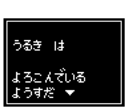 237023819