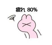 237029004