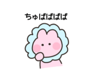 237029010