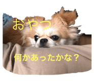 237090206