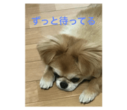 237090207