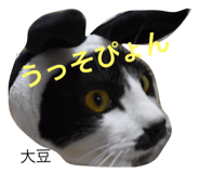 23712602