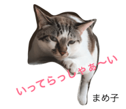23712609