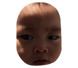 237147780
