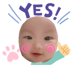 237211338
