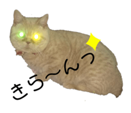 237239323