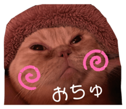 237239325