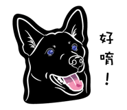 237363022