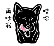 237363023