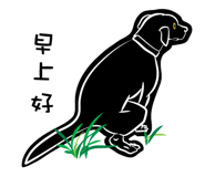 237363025