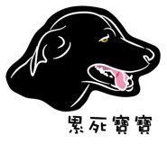237363028