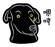 237363029