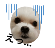 237397891