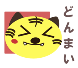 2374556