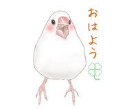23747793